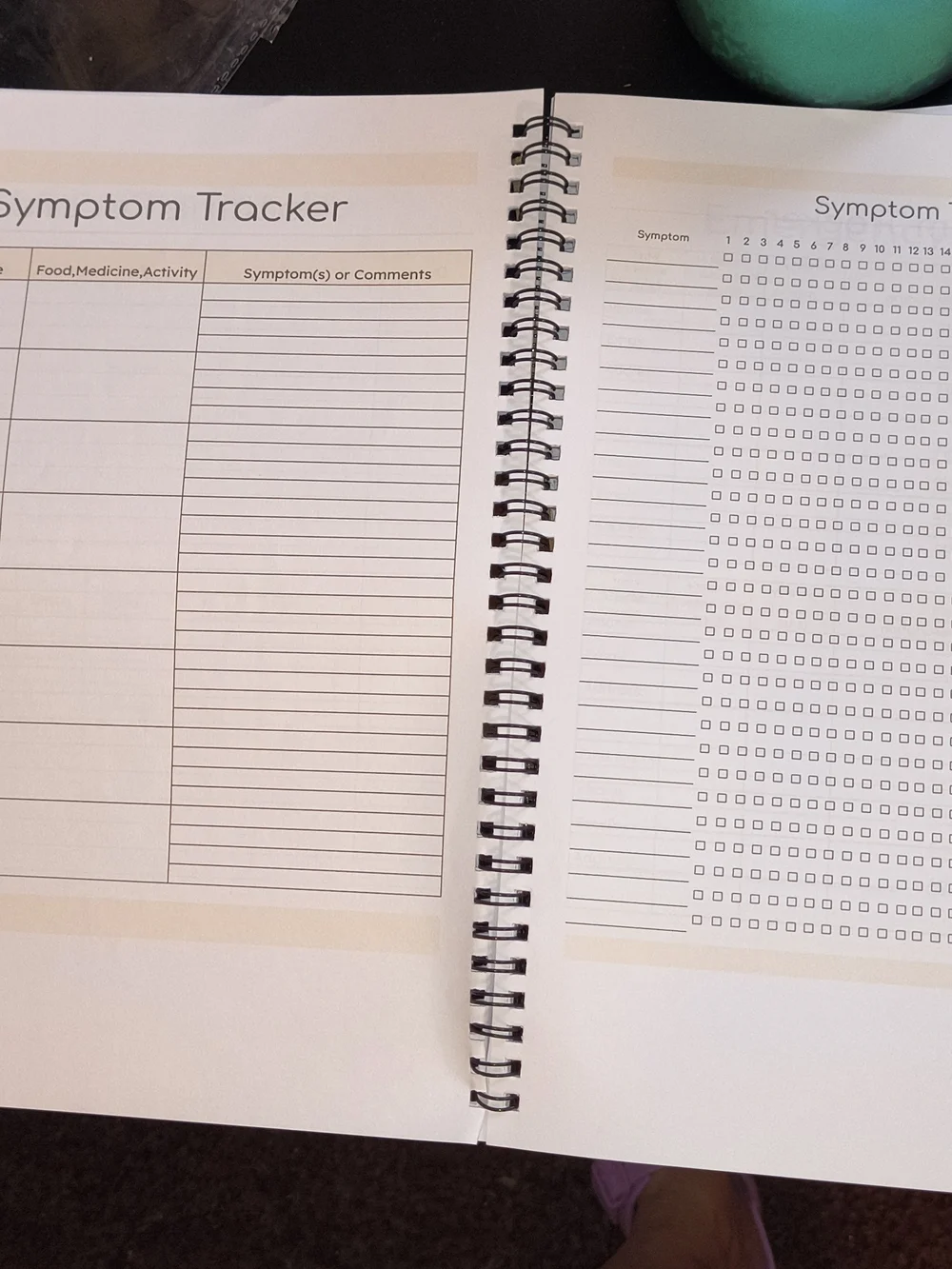 Medical Binder Organizer - Pastel Striped (No Brand)